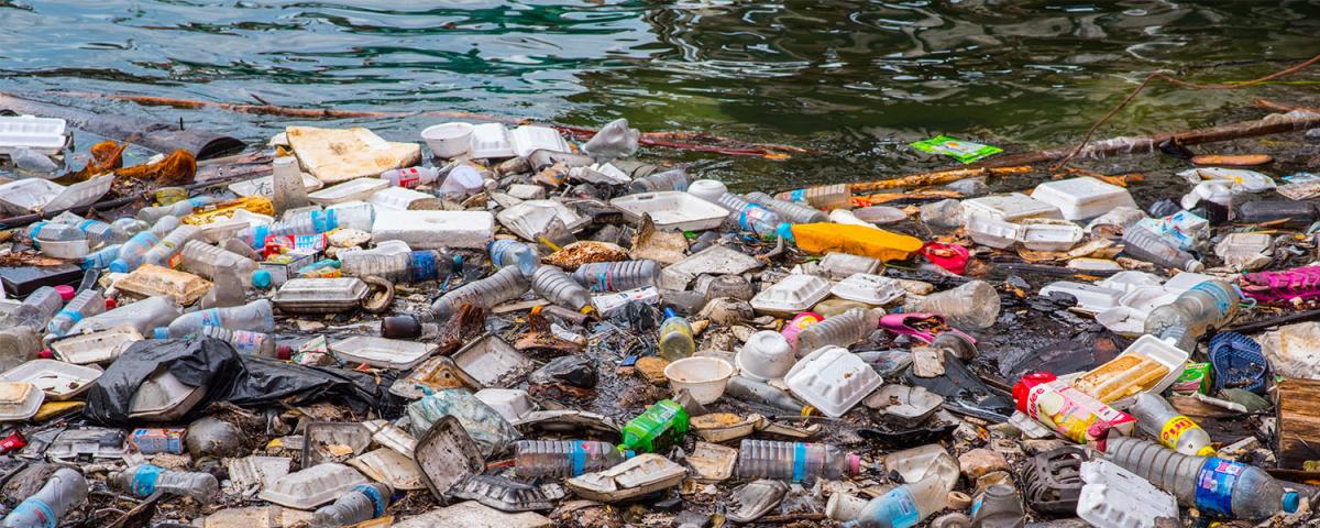 single use plastics pollution