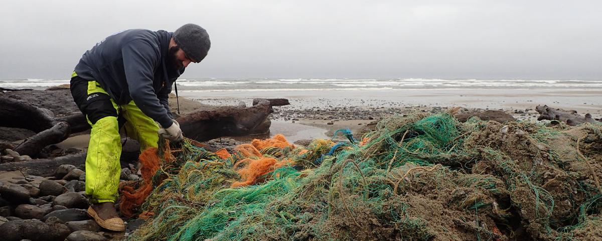 beach cleanup