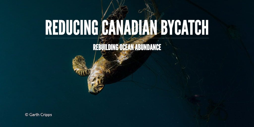 Reducing Canadian Bycatch