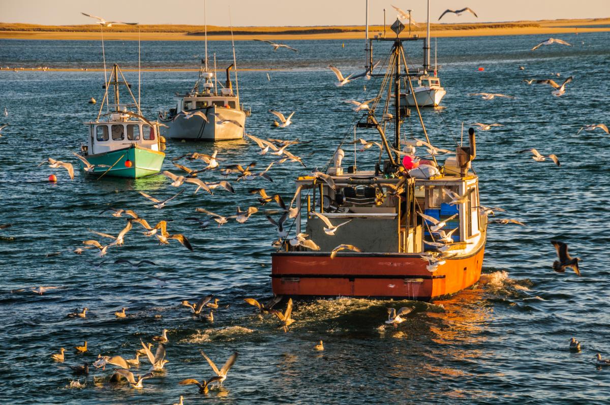 The most important fisheries framework you've never heard of - Oceana Canada