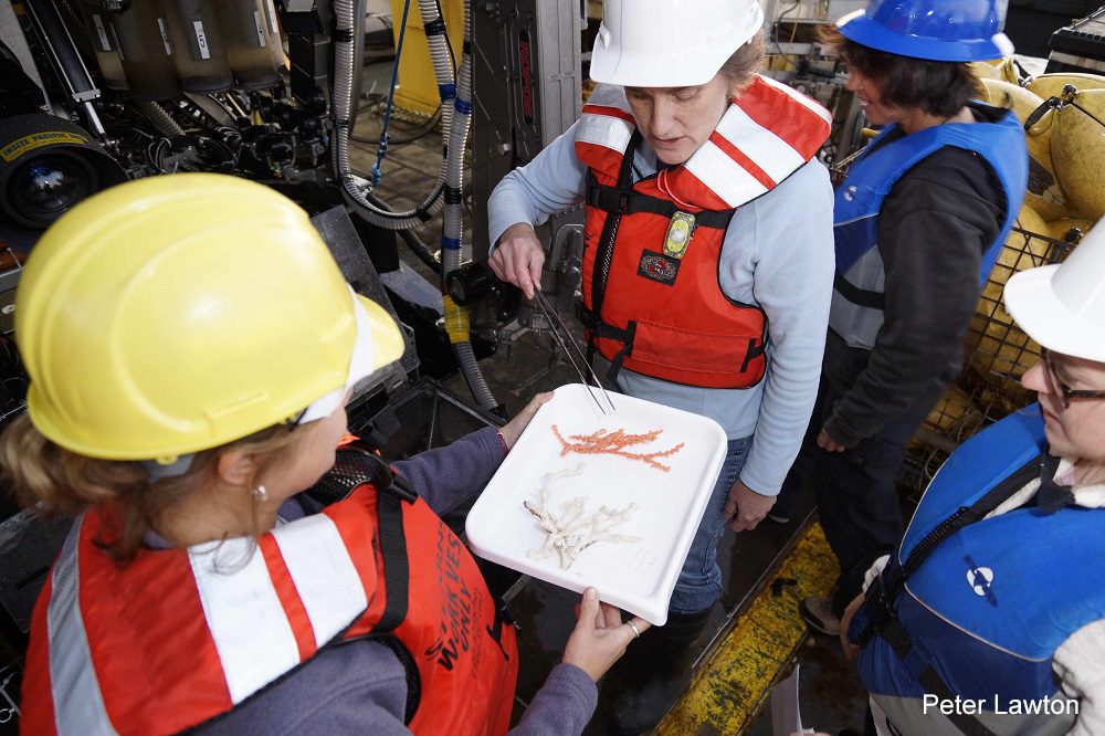 oceanographic research scientists