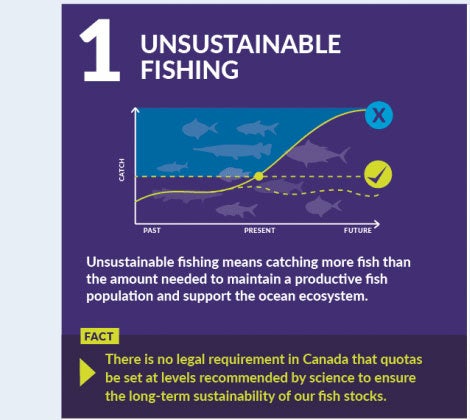 ohållbart fiske innebär att fånga mer fisk än den mängd som behövs för att upprätthålla en produktiv fiskpopulation och stödja havets ekosystem.