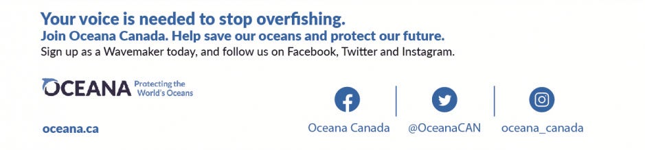 Su voz es necesaria para detener la sobrepesca. Help save our oceans and protect our future.