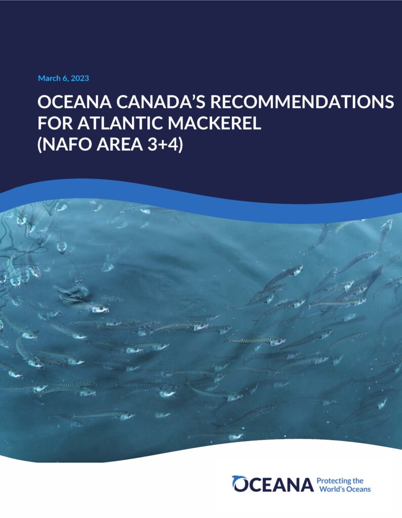 Atlantic mackerel 2023 recommendations