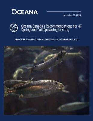 Oceana Canada's Recommendations for 4T Spring and Fall Spawning Herring