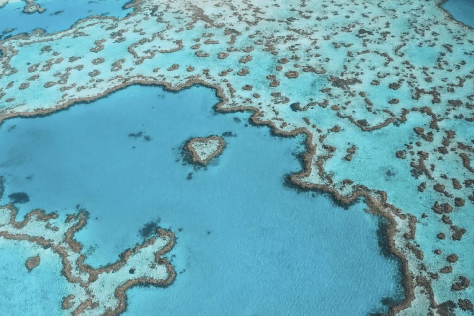 Aerial view of the Great Barrier Reef off the coast of Australia. The ocean is a very light, turquoise blue, with sections of the coral reef scattered across the ocean's sruface, and one section of coral that resembles a heart shape