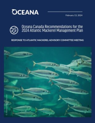 mackerel fishery management recommendations