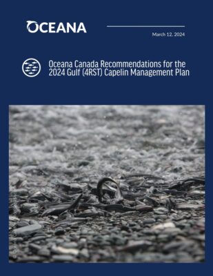 Oceana Canada Recommendations for the 2024 Gulf (4RST) Capelin Management Plan