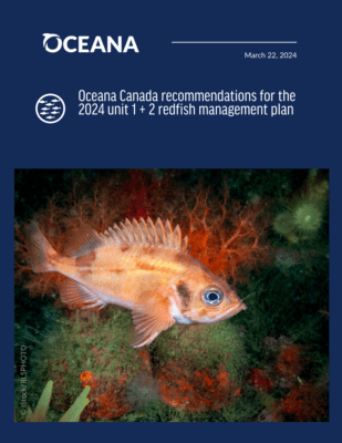 redfish management 2024