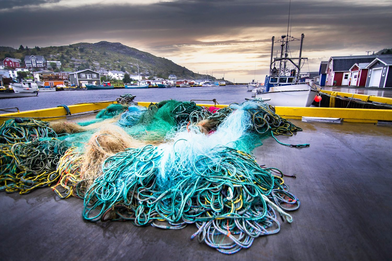 Reel Returns: The Economic Mandate For Rebuilding Fisheries - Oceana Canada