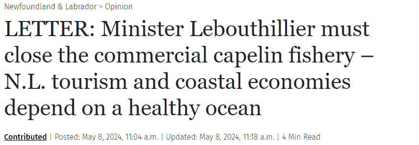 LETTER: Minister Lebouthillier must close the commercial capelin fishery
