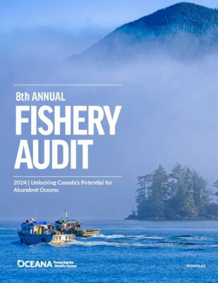 Fishery Audit 2024