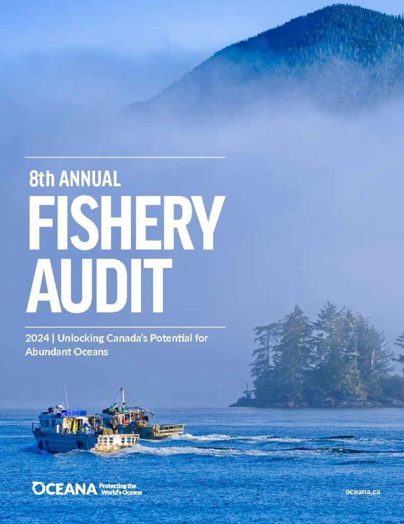 Fishery Audit 2024