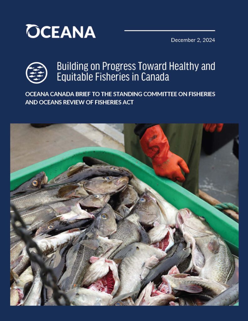 Fisheries Act review submission 2024