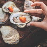 Shucked oysters with Bloody Mary sauce