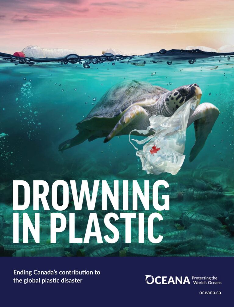 Drowning in Plastic - Oceana Canada