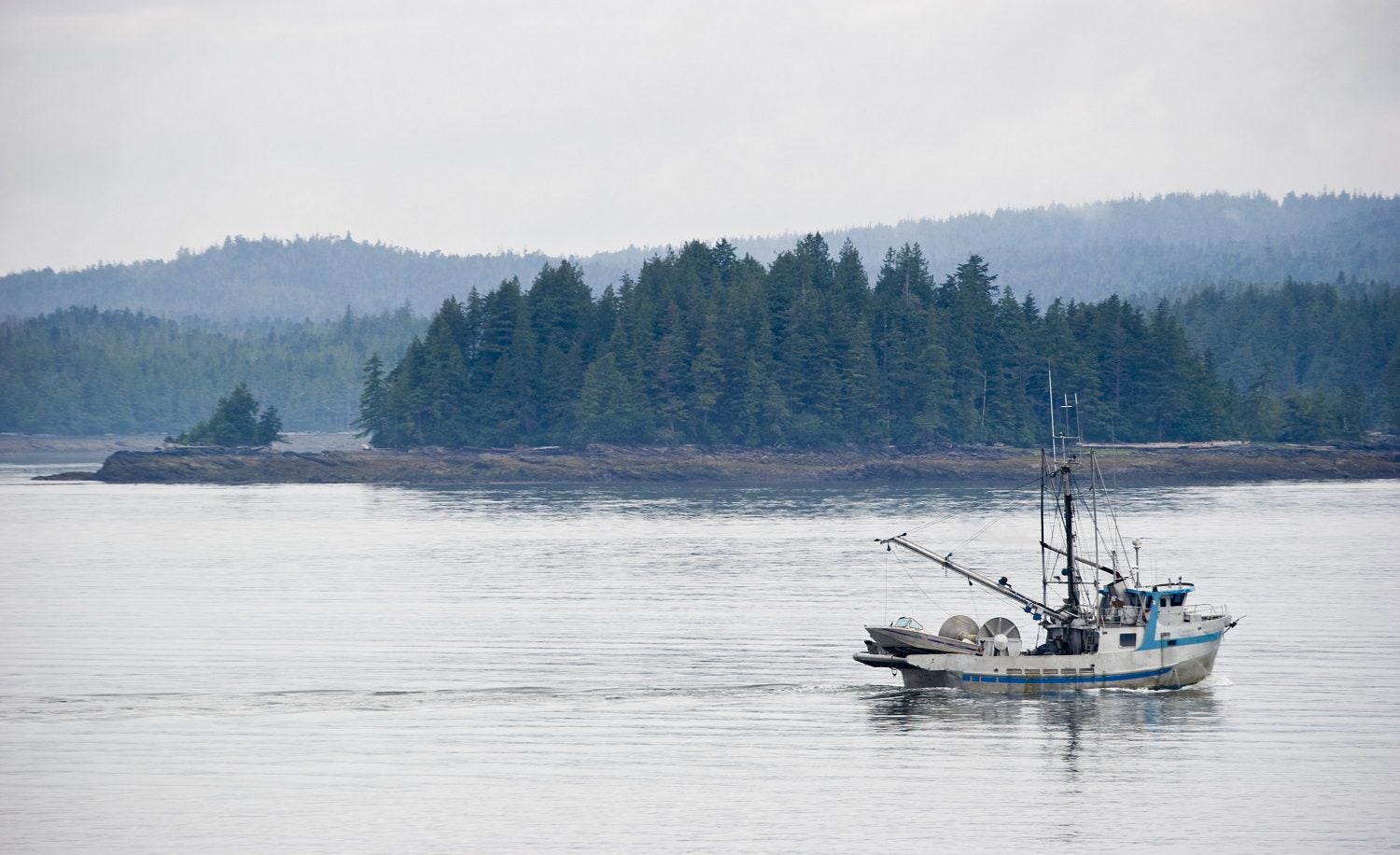 Canada’s Changing Fisheries Act: What It Can Mean For The Future Of Our ...