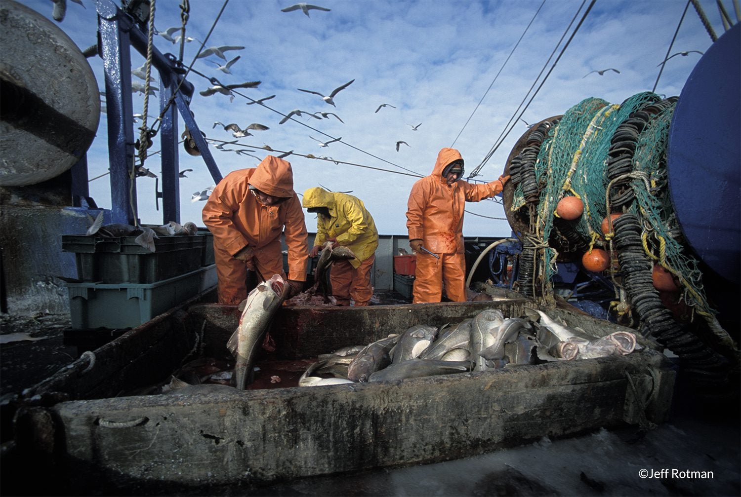 Canada may finally be ready to tackle fishery monitoring - Oceana Canada