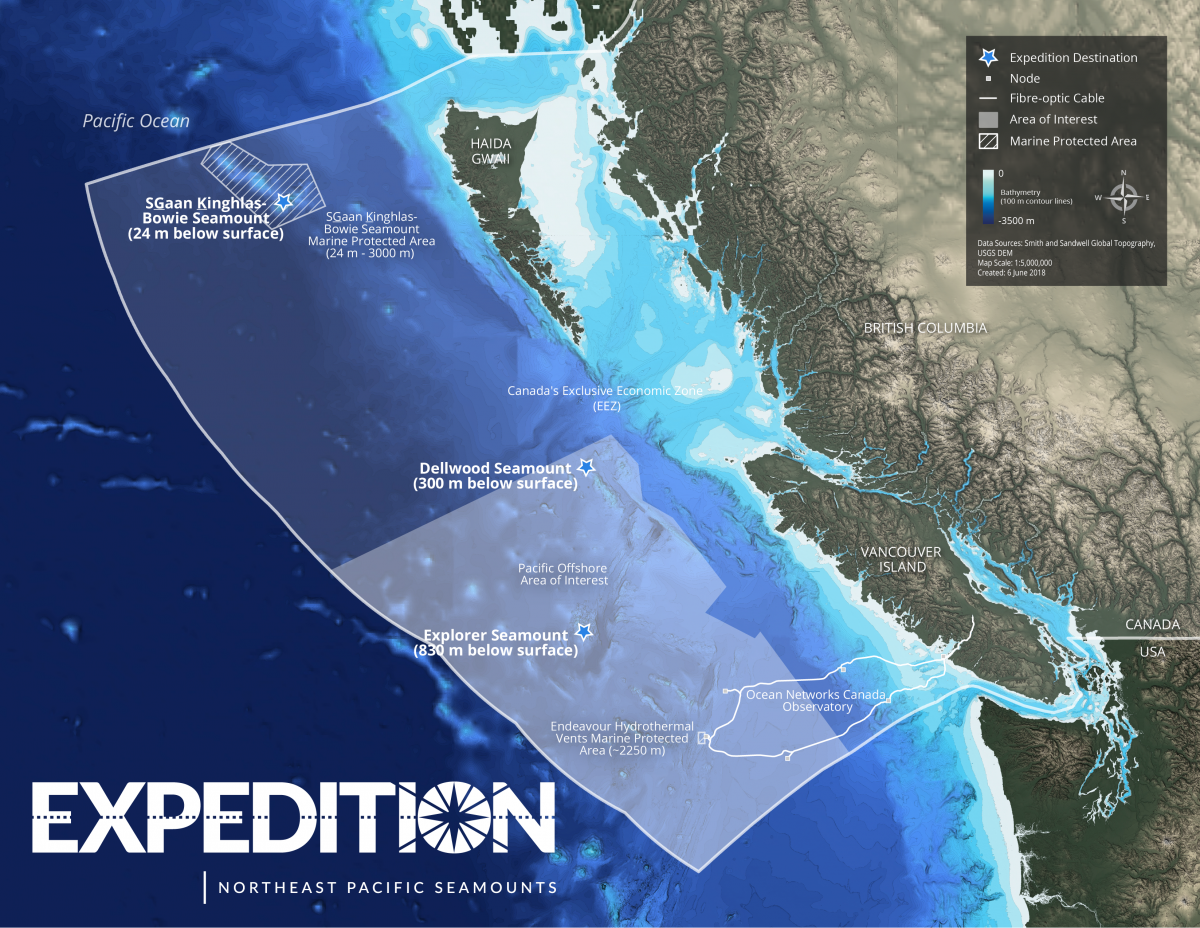 Below the surface. Marine protected areas. South Pacific Expedition. Hodgkins Seamount. Bowie Seamount.