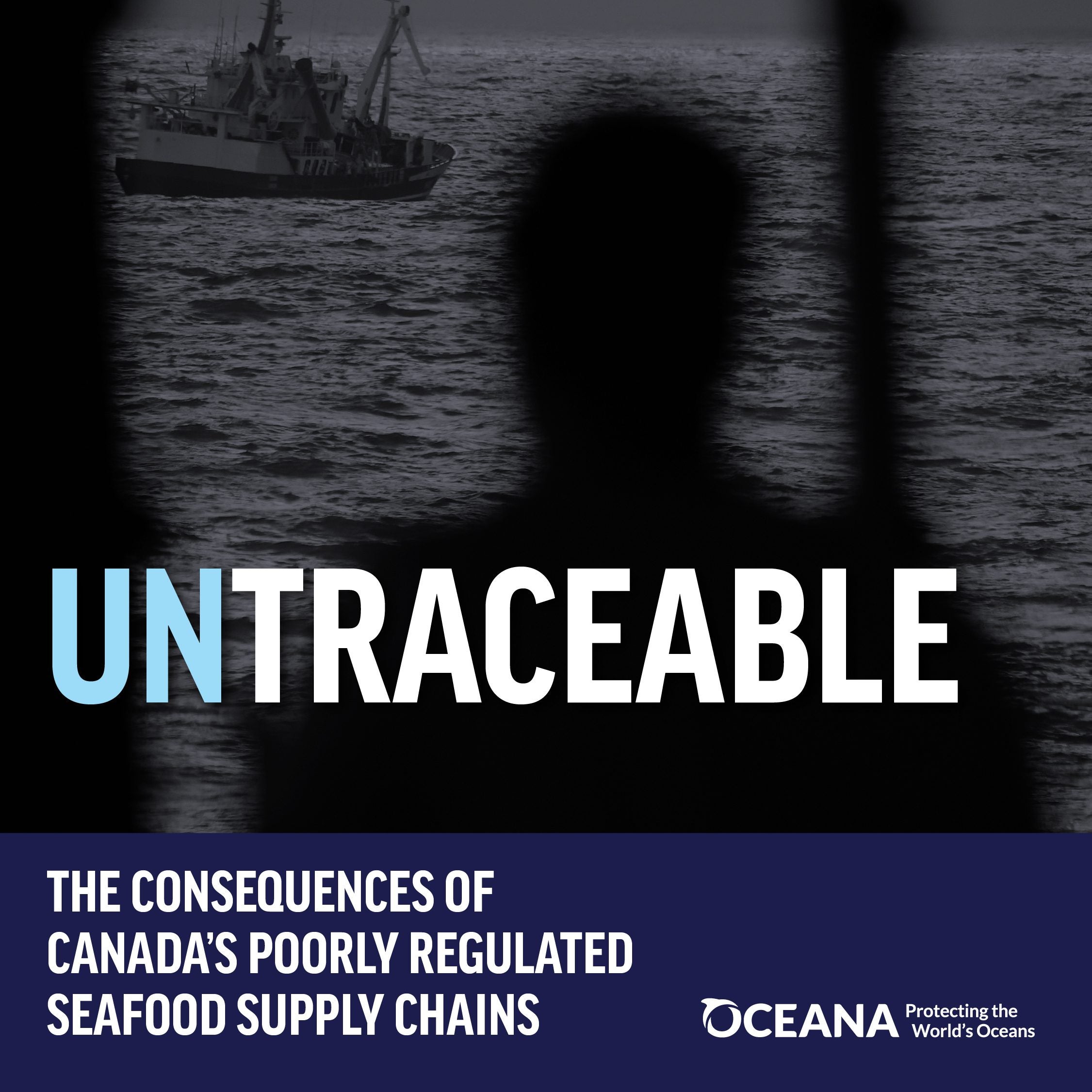 Untraceable: The Consequences of Canada's Poorly Regulated Supply Chain -  Oceana Canada